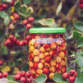 The Health Benefits of Hawthorn Berries: A Comprehensive Guide